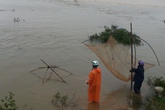 Xem dân Đà Nẵng hưởng "lộc trời" mùa lũ Xem dân Đà Nẵng hưởng "lộc trời" mùa lũ