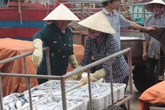 Ngư dân miền Trung được mời họp xin ý kiến về đền bù của Formosa Ngư dân miền Trung được mời họp xin ý kiến về đền bù của Formosa