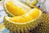 5 thực phẩm có “vị lạ” tốt cho sức khoẻ phụ nữ 5 thực phẩm có “vị lạ” tốt cho sức khoẻ phụ nữ