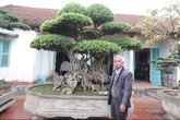 Thăm vườn cây cảnh hàng chục tỷ của lão nông dân Hà thành Thăm vườn cây cảnh hàng chục tỷ của lão nông dân Hà thành