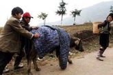 Giới trẻ thích thú vì băng tuyết, nông dân khốn đốn vì trâu bò chết hàng loạt Giới trẻ thích thú vì băng tuyết, nông dân khốn đốn vì trâu bò chết hàng loạt
