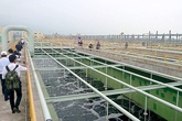 Bộ trưởng Bộ TN&MT yêu cầu: Bể xử lý chất thải Formosa phải nuôi được cá Bộ trưởng Bộ TN&MT yêu cầu: Bể xử lý chất thải Formosa phải nuôi được cá