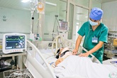 Trâu “điên” tấn công, 2 người nhập viện Trâu “điên” tấn công, 2 người nhập viện