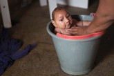 Virus Zika vào đề thi môn Tiếng Anh, Sinh học Virus Zika vào đề thi môn Tiếng Anh, Sinh học