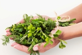 4 tuyệt chiêu giúp bạn giảm ngứa do bệnh chàm 4 tuyệt chiêu giúp bạn giảm ngứa do bệnh chàm