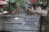 Ám ảnh đoạn mương "chết” thối um giữa Hà Nội khi virus Zika đã đến Ám ảnh đoạn mương "chết” thối um giữa Hà Nội khi virus Zika đã đến