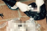 Bác bỏ tin “một trưa bới rác tìm được 67 sinh linh vắn số” Bác bỏ tin “một trưa bới rác tìm được 67 sinh linh vắn số”