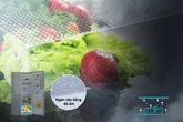 Tủ lạnh - Chìa khoá bảo quản thực phẩm tươi ngon và an toàn Tủ lạnh - Chìa khoá bảo quản thực phẩm tươi ngon và an toàn