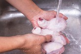 Sai lầm rửa thịt gà trước khi chế biến Sai lầm rửa thịt gà trước khi chế biến