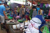 Hàng tấn cá ươn “leo” lên… bàn nhậu Hàng tấn cá ươn “leo” lên… bàn nhậu
