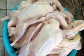 Nguy hiểm chết người khi ăn phải vịt “tắm” hóa chất Nguy hiểm chết người khi ăn phải vịt “tắm” hóa chất