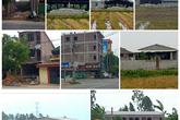 UBND huyện Tiên Lữ chỉ đạo làm rõ việc trục lợi trên đất nông nghiệp tại xã Ngô Quyền và Hưng Đạo UBND huyện Tiên Lữ chỉ đạo làm rõ việc trục lợi trên đất nông nghiệp tại xã Ngô Quyền và Hưng Đạo