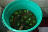 Bơ 'ngậm' đầy hóa chất để chín đều Bơ 'ngậm' đầy hóa chất để chín đều