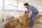 Bí quyết làm giàu của anh nông dân kiếm gần 15 tỷ/năm Bí quyết làm giàu của anh nông dân kiếm gần 15 tỷ/năm