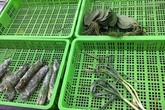 Chuyện hiếm Hà Nội: Chia nhau bó rau dập nát, 'nhắm mắt' ăn liều đồ Tàu Chuyện hiếm Hà Nội: Chia nhau bó rau dập nát, 'nhắm mắt' ăn liều đồ Tàu