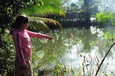 Ba trẻ em chết đuối dưới ao nước sau nhà Ba trẻ em chết đuối dưới ao nước sau nhà