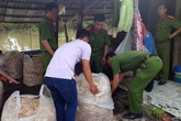 Bắt quả tang vụ dùng hóa chất tẩy trắng 200kg bắp chuối Bắt quả tang vụ dùng hóa chất tẩy trắng 200kg bắp chuối