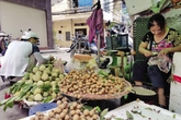 Hà Nội: Nhiều người sốc vì bán trái cây phải có đăng ký kinh doanh Hà Nội: Nhiều người sốc vì bán trái cây phải có đăng ký kinh doanh
