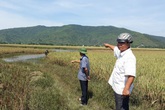 Vụ 57ha lúa bị ngập úng ở Thanh Hóa: Dân bức xúc khi công ty bảo hiểm từ chối trách nhiệm Vụ 57ha lúa bị ngập úng ở Thanh Hóa: Dân bức xúc khi công ty bảo hiểm từ chối trách nhiệm