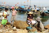 Áp lực mang tên “đứa đi giật lùi” Áp lực mang tên “đứa đi giật lùi”