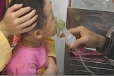 Dấu hiệu nhận biết bệnh ho gà cha mẹ cần biết Dấu hiệu nhận biết bệnh ho gà cha mẹ cần biết