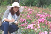 Âm thầm nghỉ việc, vay nặng lãi trồng 6.000 gốc hồng Âm thầm nghỉ việc, vay nặng lãi trồng 6.000 gốc hồng