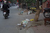 Hà Nội: Rác vẫn tràn ra phố bất chấp quy định phạt tiền triệu Hà Nội: Rác vẫn tràn ra phố bất chấp quy định phạt tiền triệu