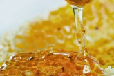 Thực hư mật ong dùng chữa bệnh và làm đẹp nhiều nguy cơ nhiễm thuốc trừ sâu Thực hư mật ong dùng chữa bệnh và làm đẹp nhiều nguy cơ nhiễm thuốc trừ sâu