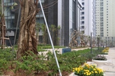 Quy hoạch giao thông tạo cú hích thị trường BĐS Tây Hà Nội Quy hoạch giao thông tạo cú hích thị trường BĐS Tây Hà Nội