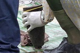 6 người trong dòng họ ở Khánh Hòa tử vong vì cưa đạn 6 người trong dòng họ ở Khánh Hòa tử vong vì cưa đạn