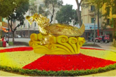Rùa vàng dễ lạc lõng giữa hồ Gươm Rùa vàng dễ lạc lõng giữa hồ Gươm