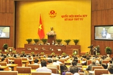 Kiến nghị xử lý nghiêm các khuyến điểm, sai phạm và tình trạng "vô cảm" ... của người đứng đầu địa phương Kiến nghị xử lý nghiêm các khuyến điểm, sai phạm và tình trạng "vô cảm" ... của người đứng đầu địa phương