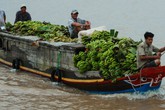 Những thương hồ cuối cùng trên đất phương Nam Những thương hồ cuối cùng trên đất phương Nam