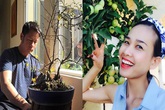 Dù chia tay nhưng Bằng Kiều và Mỹ Linh vẫn có chung một sở thích này Dù chia tay nhưng Bằng Kiều và Mỹ Linh vẫn có chung một sở thích này