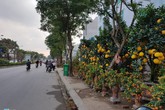 Mặt bằng bán hàng Tết: Thuê 10 m phải trả 20 triệu đồng Mặt bằng bán hàng Tết: Thuê 10 m phải trả 20 triệu đồng