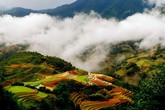 Thâm cung bí sử (160 - 1): Tuần trăng mật nhiều bất ngờ Thâm cung bí sử (160 - 1): Tuần trăng mật nhiều bất ngờ
