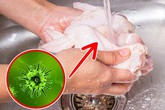 Tại sao không nên rửa thịt gà trước khi nấu? Tại sao không nên rửa thịt gà trước khi nấu?