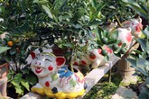 Heo vàng 5 triệu cõng quất bonsai chào tết Kỷ Hợi 2019 Heo vàng 5 triệu cõng quất bonsai chào tết Kỷ Hợi 2019