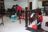 Cận Tết, "ô sin" thời vụ, sửa nhà, chăm uốn cây cảnh bắt đầu đắt khách Cận Tết, "ô sin" thời vụ, sửa nhà, chăm uốn cây cảnh bắt đầu đắt khách