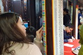 Cúng sao giải hạn có tránh được tai họa? Cúng sao giải hạn có tránh được tai họa?