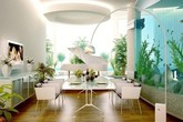 Những việc làm nhỏ có thể khiến gia chủ gặp họa trong năm mới Những việc làm nhỏ có thể khiến gia chủ gặp họa trong năm mới