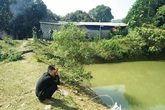 Ba cháu bé chết đuối dưới ao nước sau nhà: Xóm nghèo nhuốm màu tang thương Ba cháu bé chết đuối dưới ao nước sau nhà: Xóm nghèo nhuốm màu tang thương