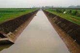 Cá nhân có thể đấu thầu quản lý, khai thác công trình thủy lợi nhỏ Cá nhân có thể đấu thầu quản lý, khai thác công trình thủy lợi nhỏ