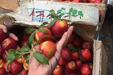 Bảy loại quả Trung Quốc bán tràn chợ Việt: Đẹp long lanh, rẻ như rau Bảy loại quả Trung Quốc bán tràn chợ Việt: Đẹp long lanh, rẻ như rau