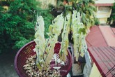 Góc sáng ấm cúng trong những gia đình "bám trụ" lại khu tập thể hoang tàn giữa lòng Hà Nội Góc sáng ấm cúng trong những gia đình "bám trụ" lại khu tập thể hoang tàn giữa lòng Hà Nội