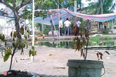 Khai quật mộ tìm nguyên nhân thanh niên 28 tuổi thiệt mạng Khai quật mộ tìm nguyên nhân thanh niên 28 tuổi thiệt mạng