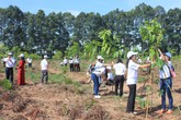 Doanh nghiệp đồng hành bảo vệ môi trường tại Đồng Nai Doanh nghiệp đồng hành bảo vệ môi trường tại Đồng Nai