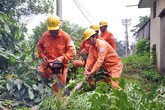 Giảm thiểu 81/300 trường hợp vi phạm hành lang lưới điện ở Hà Nội Giảm thiểu 81/300 trường hợp vi phạm hành lang lưới điện ở Hà Nội
