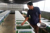 Thầy giáo dạy toán kiếm chục triệu mỗi tháng từ nghề… “tay trái” Thầy giáo dạy toán kiếm chục triệu mỗi tháng từ nghề… “tay trái”