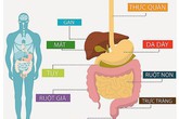 Tầm soát ung thư tiêu hóa để ung thư không còn là mối nguy khó lường Tầm soát ung thư tiêu hóa để ung thư không còn là mối nguy khó lường